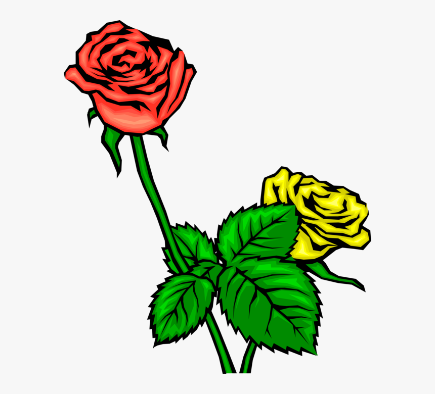 Vector Illustration Of Red And Yellow Flower Roses - Clip Art, HD Png Download, Free Download