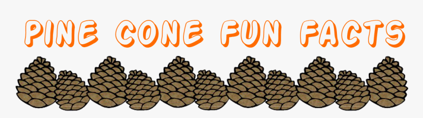 Pinecone Clipart Border - Lodgepole Pine, HD Png Download, Free Download