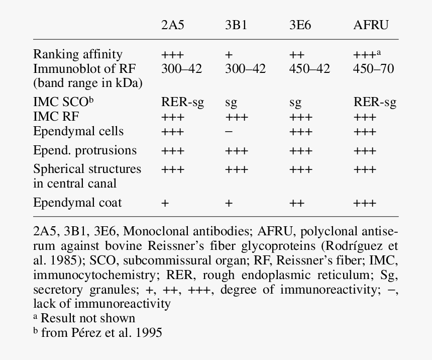 Phase Transition Critical Exponents Table, HD Png Download, Free Download