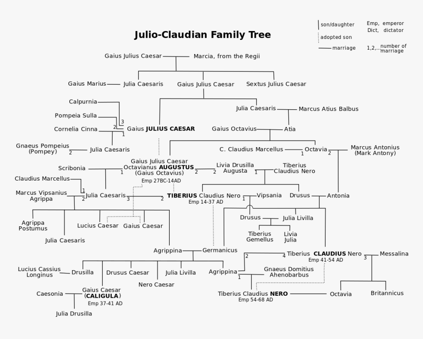 Julio Claudian Family Tree, HD Png Download, Free Download