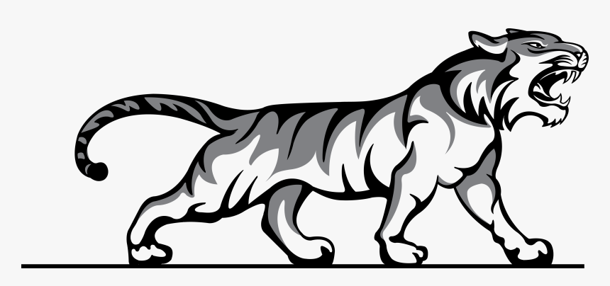 Activities - Tiger Body Black And White, HD Png Download, Free Download
