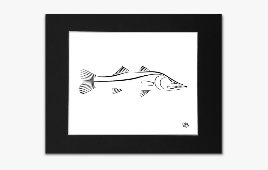 Snook Drawing Sea Trout - Black And White Snook, HD Png Download, Free Download