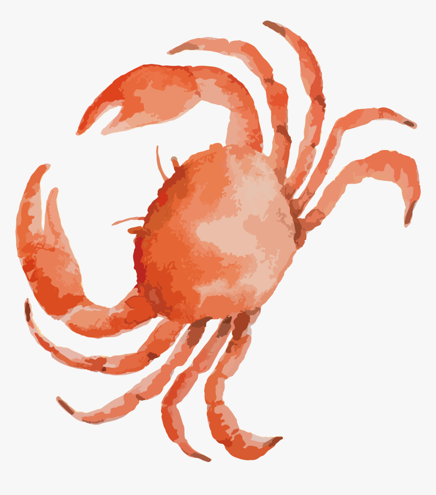 Lobster Clipart Mud Crab - Crab Clipart, HD Png Download, Free Download