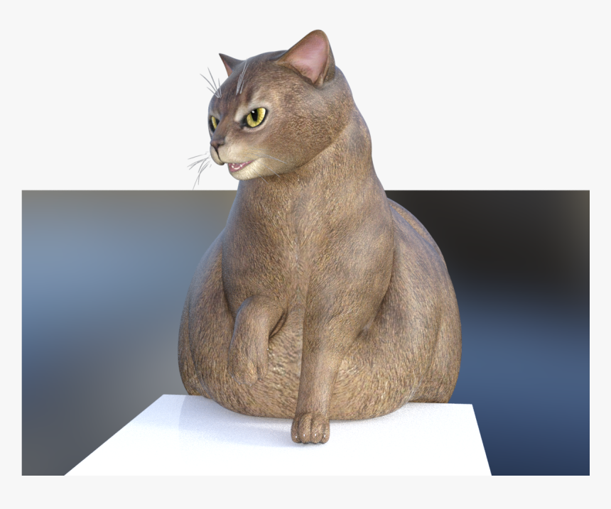 Fat Cat Is Squish , Png Download - Domestic Short-haired Cat, Transparent Png, Free Download