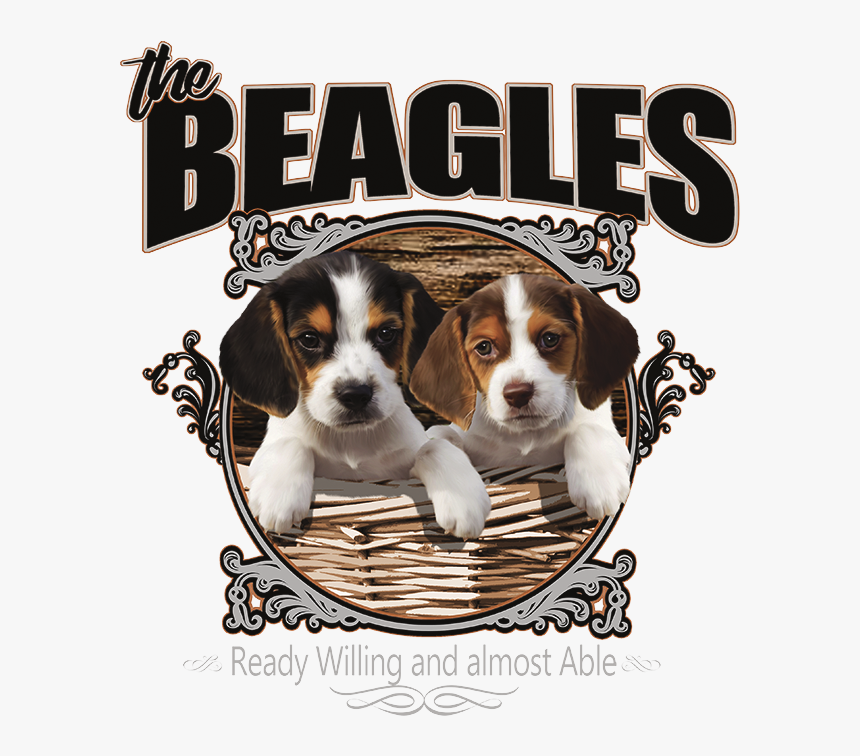 Beaglier, HD Png Download, Free Download