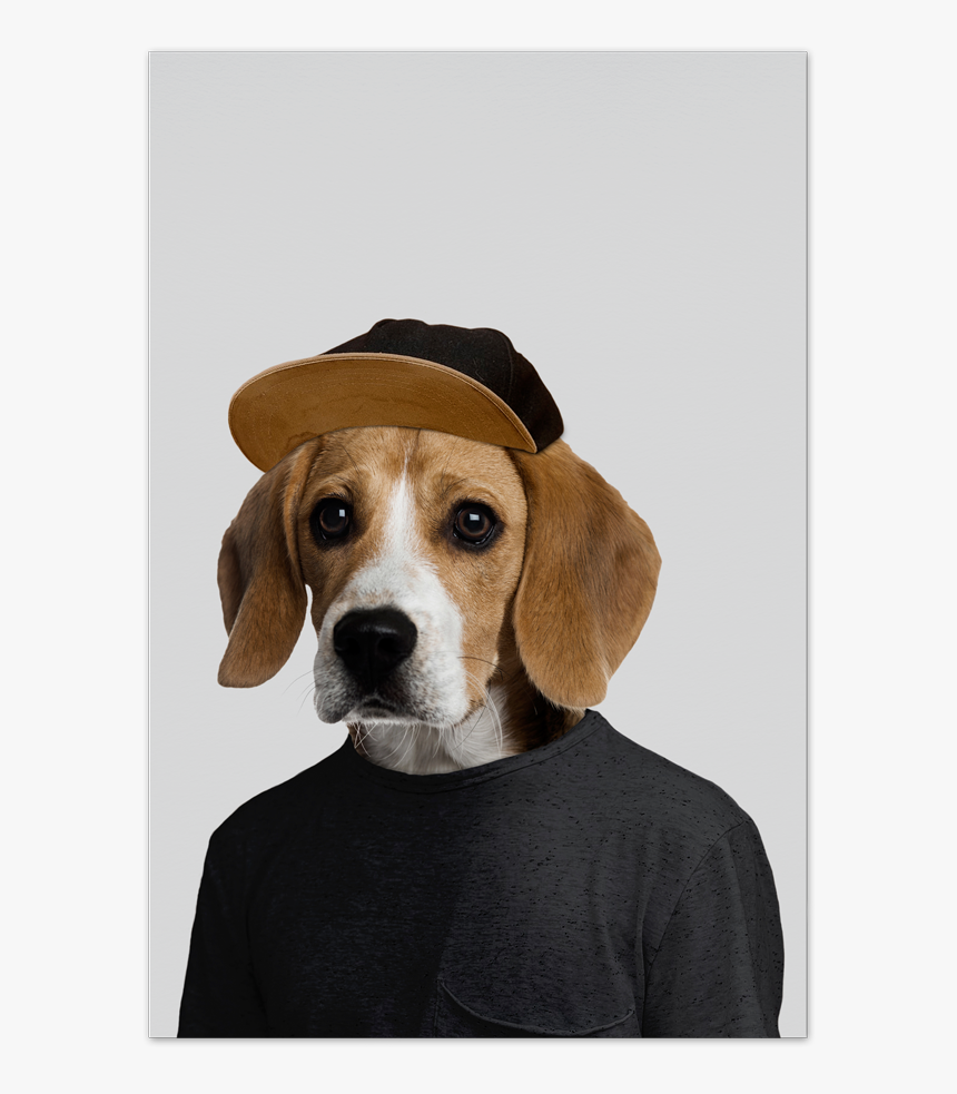 Joey The Beagle Art Card - Beagle Poster, HD Png Download, Free Download