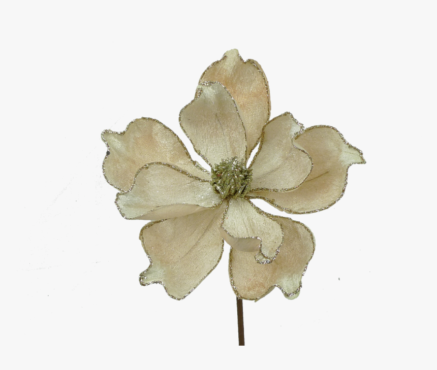 9 - Clematis, HD Png Download, Free Download