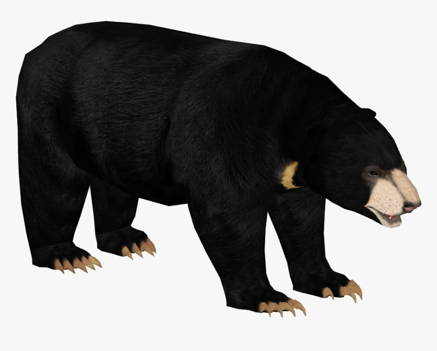 Transparent Smokey The Bear Png - Sloth Bear Zt2, Png Download, Free Download