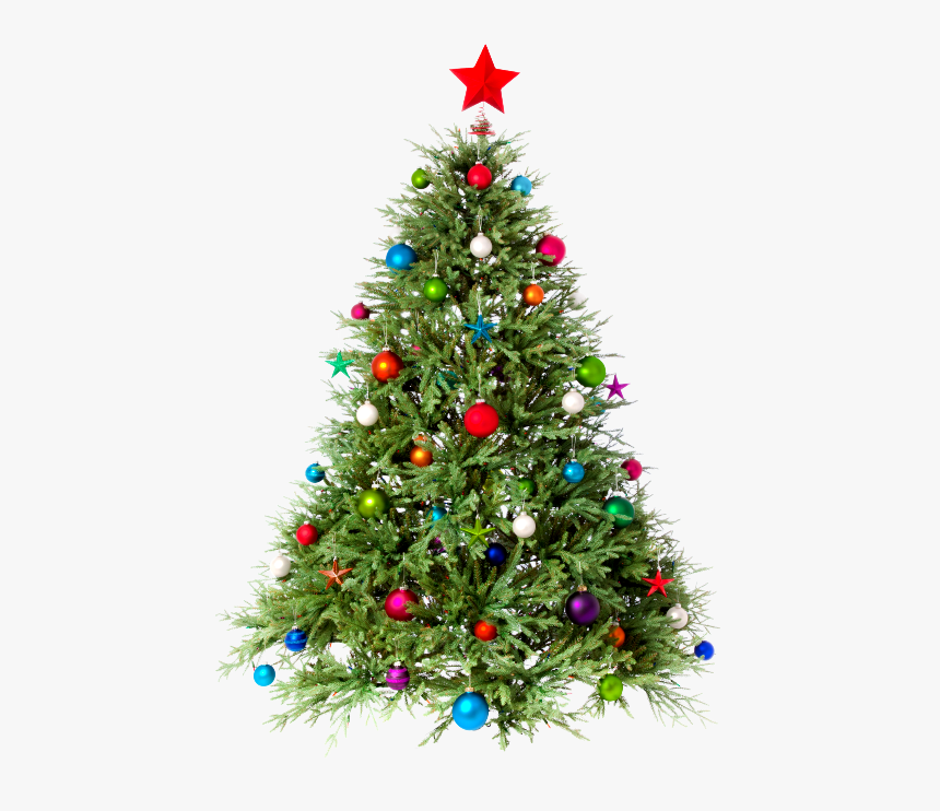 Clipart Christmas Tree Png - Christmas Tree Images Png, Transparent Png - kindpng