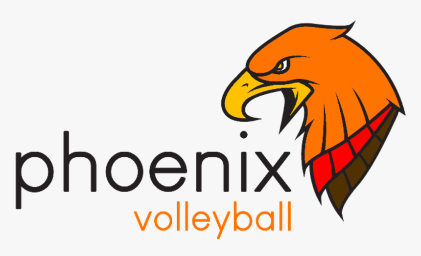 Phoenix Volleyball Is Excited To Announce That Registration - Phoenix Pharmacy Benefits Management, HD Png Download, Free Download