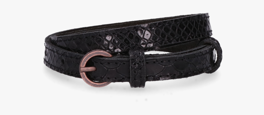 Buckle, HD Png Download, Free Download