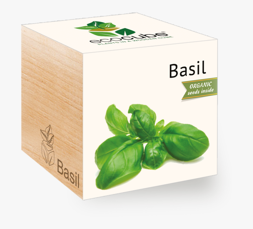 Transparent Basil Png - Basil, Png Download, Free Download