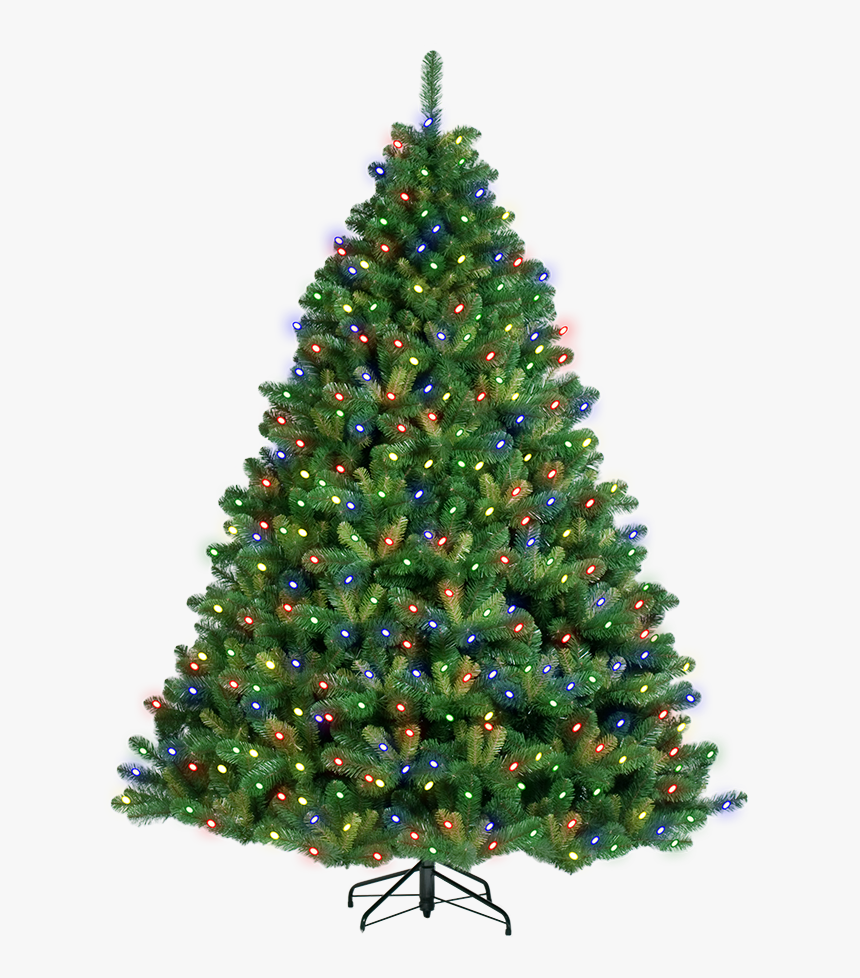 White Christmas Trees Png - Pine Tree Christmas, Transparent Png, Free Download