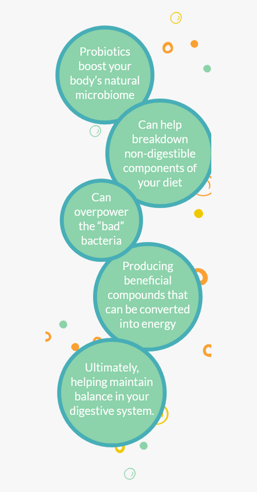 How Probiotics Work - Circle, HD Png Download, Free Download