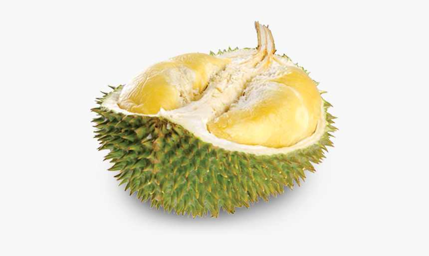 Durian, HD Png Download, Free Download