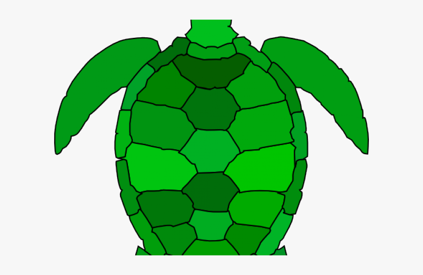 Green Turtle Cliparts - Sea Turtle Clip Art, HD Png Download, Free Download