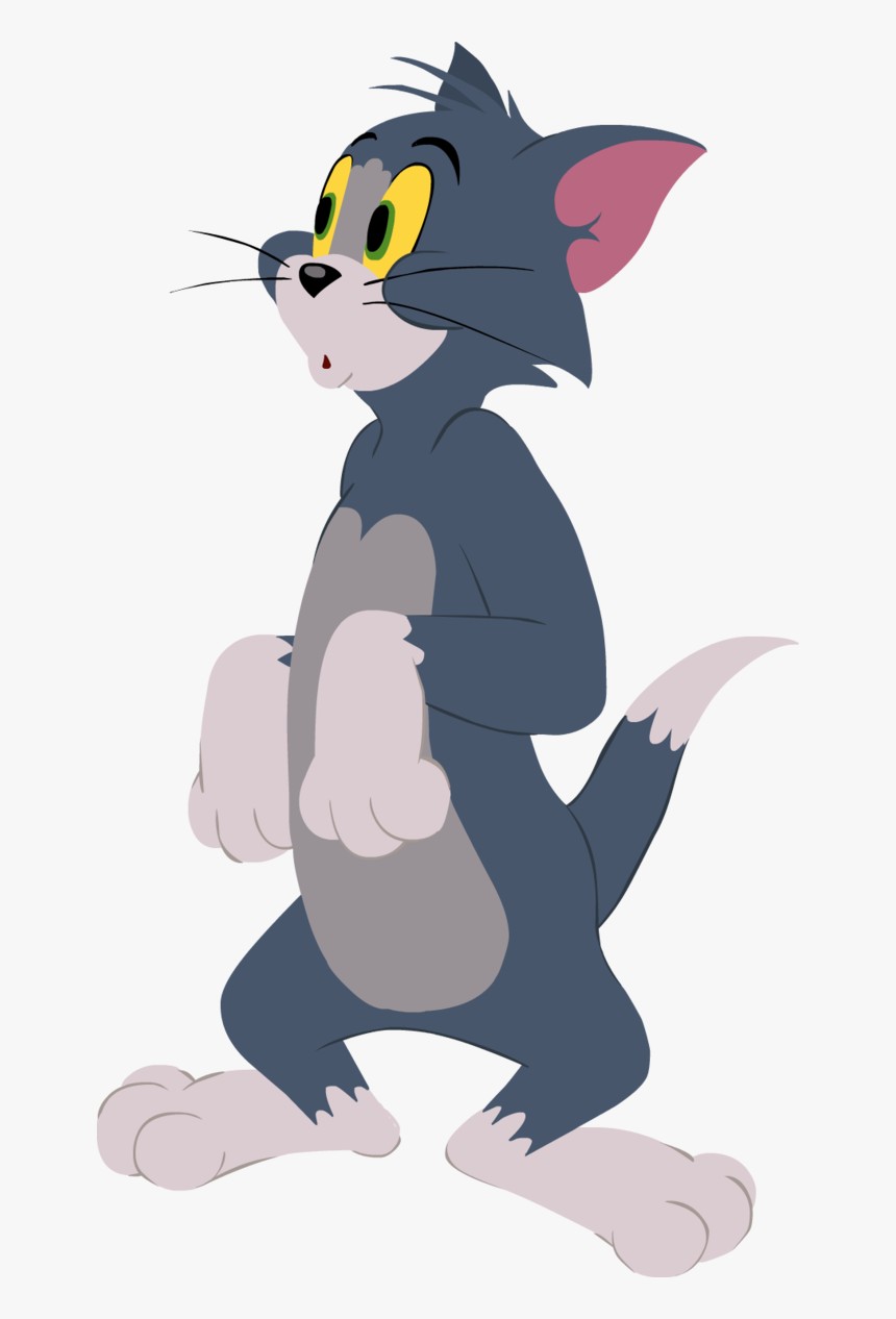 Tom And Jerry Show Tom, HD Png Download, Free Download