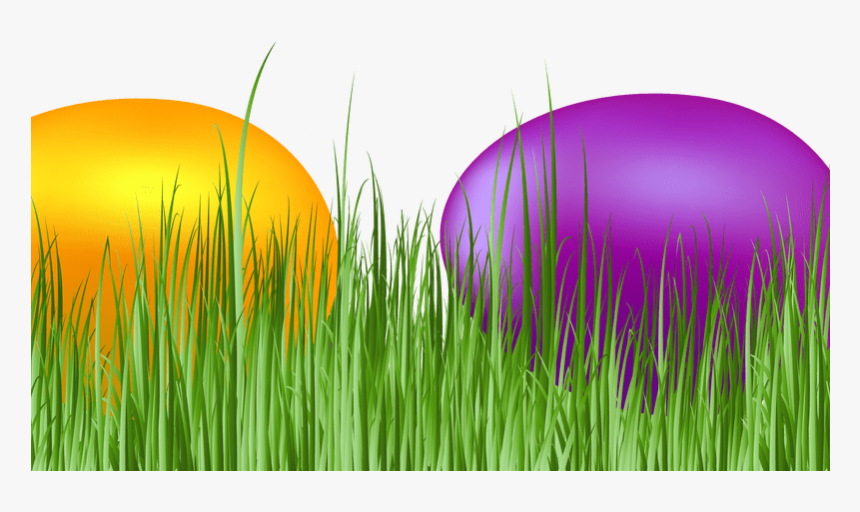 Easter Grass Eggs Png Download Image - Grass, Transparent Png, Free Download