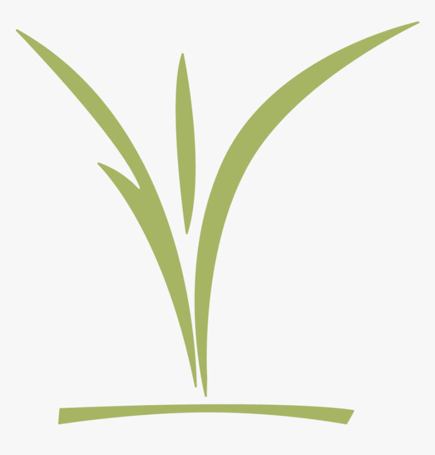 Ccc Childrens Logo Green - Grass, HD Png Download, Free Download