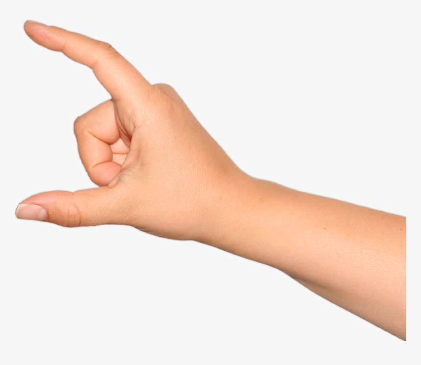 Clipart Hand Forearm - Hand Holding Transparent Background, HD Png Download, Free Download