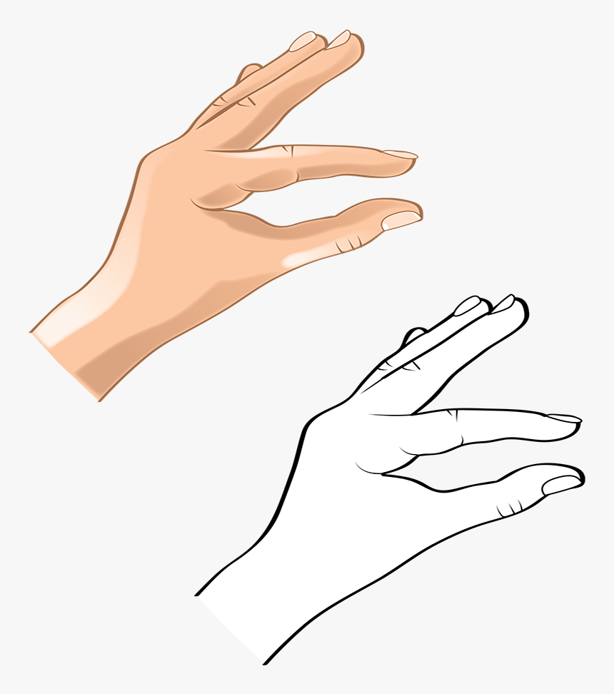 Transparent Hand Vector Png - Art, Png Download, Free Download