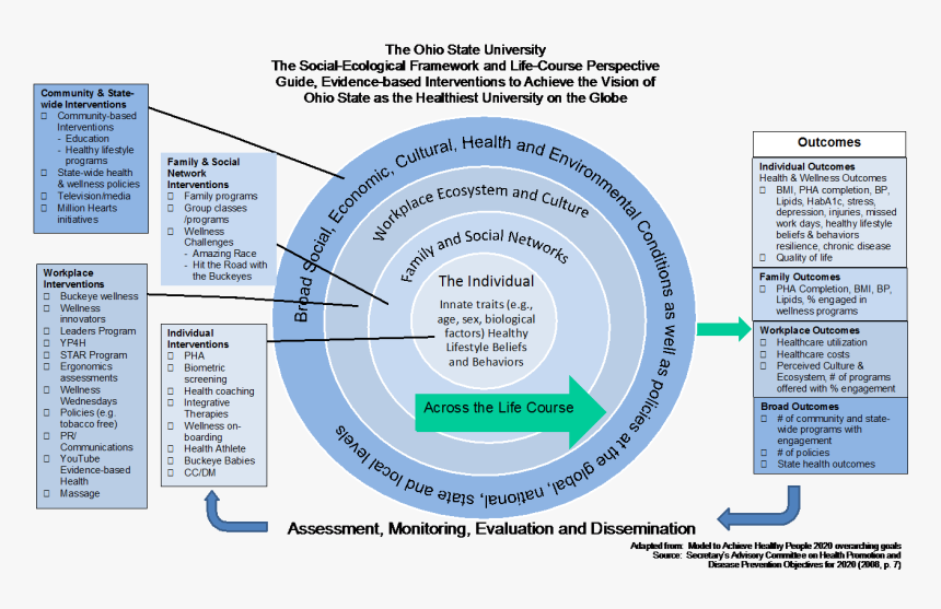 Socioecological Framework - Socioecological Model Life Course Model, HD Png Download, Free Download