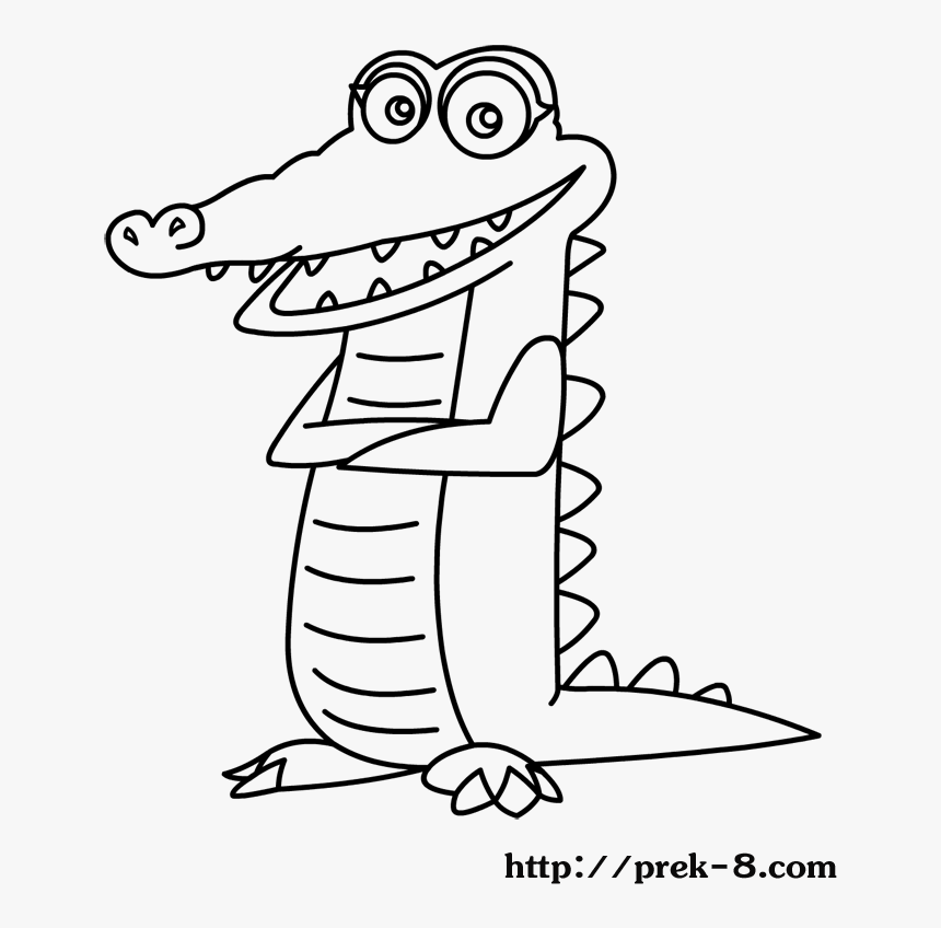 Jungle Animals Coloring Pages, Wild Animals Coloring - Cartoon, HD Png Download, Free Download