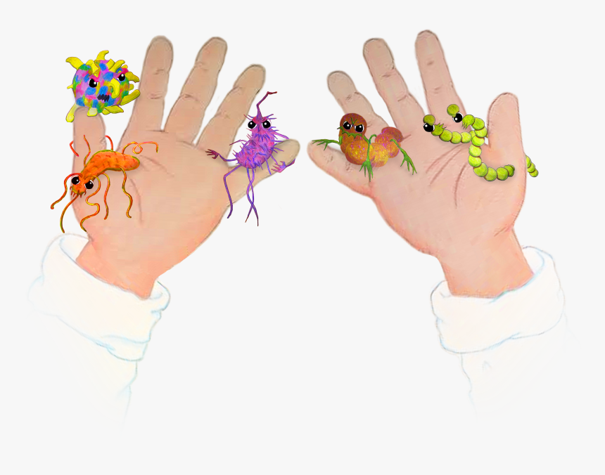 Drawing Nails Back Hand - Kids Germs Hands Clipart Png, Transparent Png, Free Download