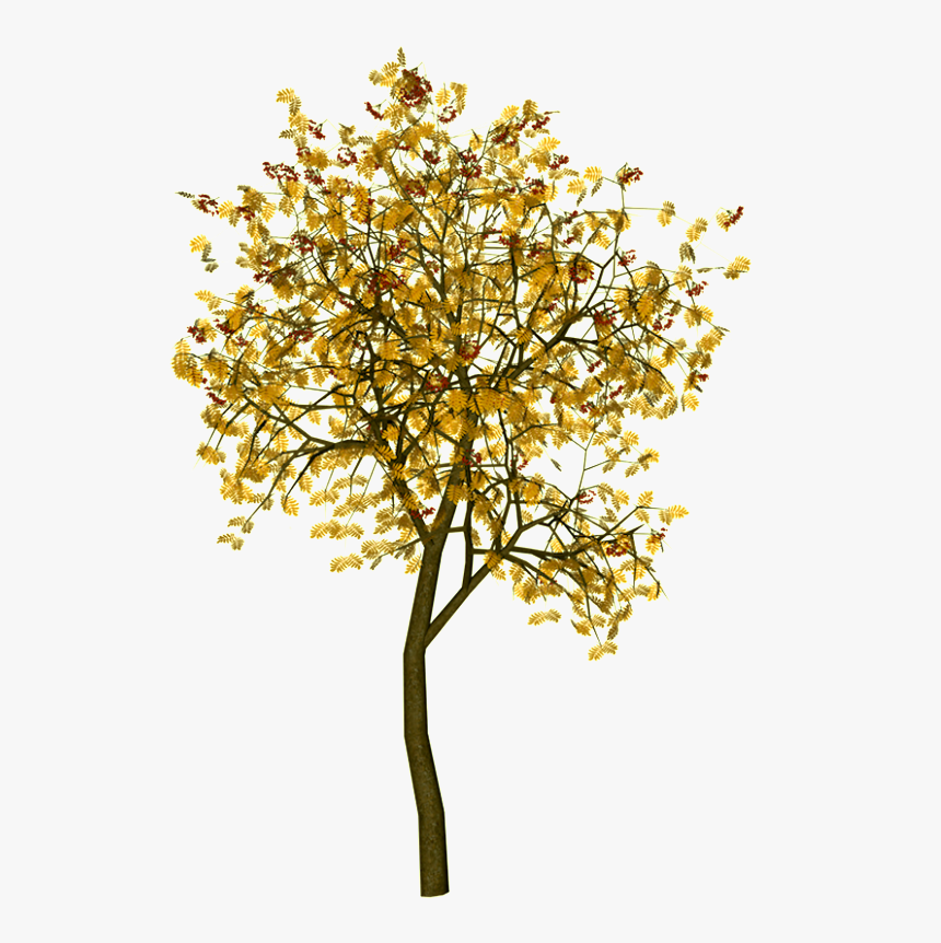 Arboles Png, Paisajismo, Armaduras, Montajes, Arquitectura, - Tree Autumn Architecture Png, Transparent Png, Free Download