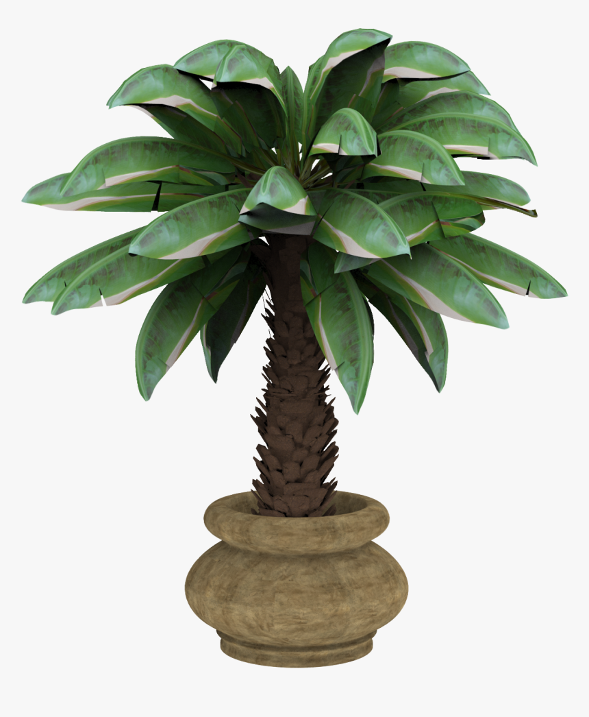 Palm Tree, HD Png Download, Free Download