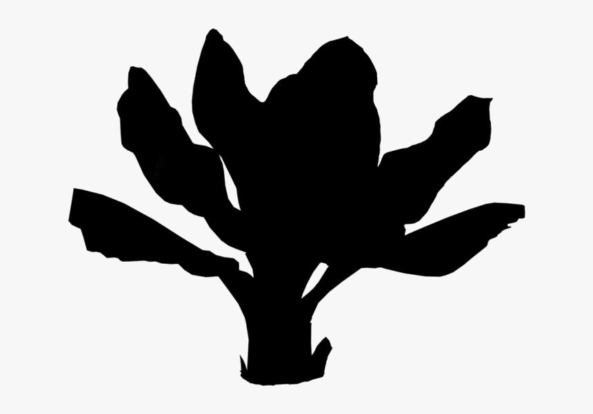 Tropical Plant Png Transparent Images - Silhouette, Png Download, Free Download