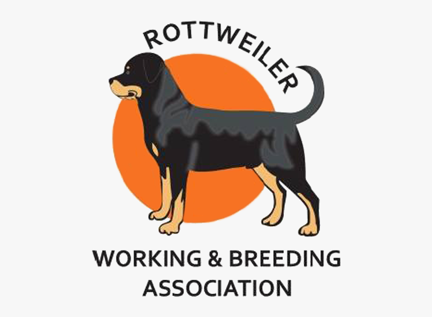 Rottweiler, HD Png Download, Free Download