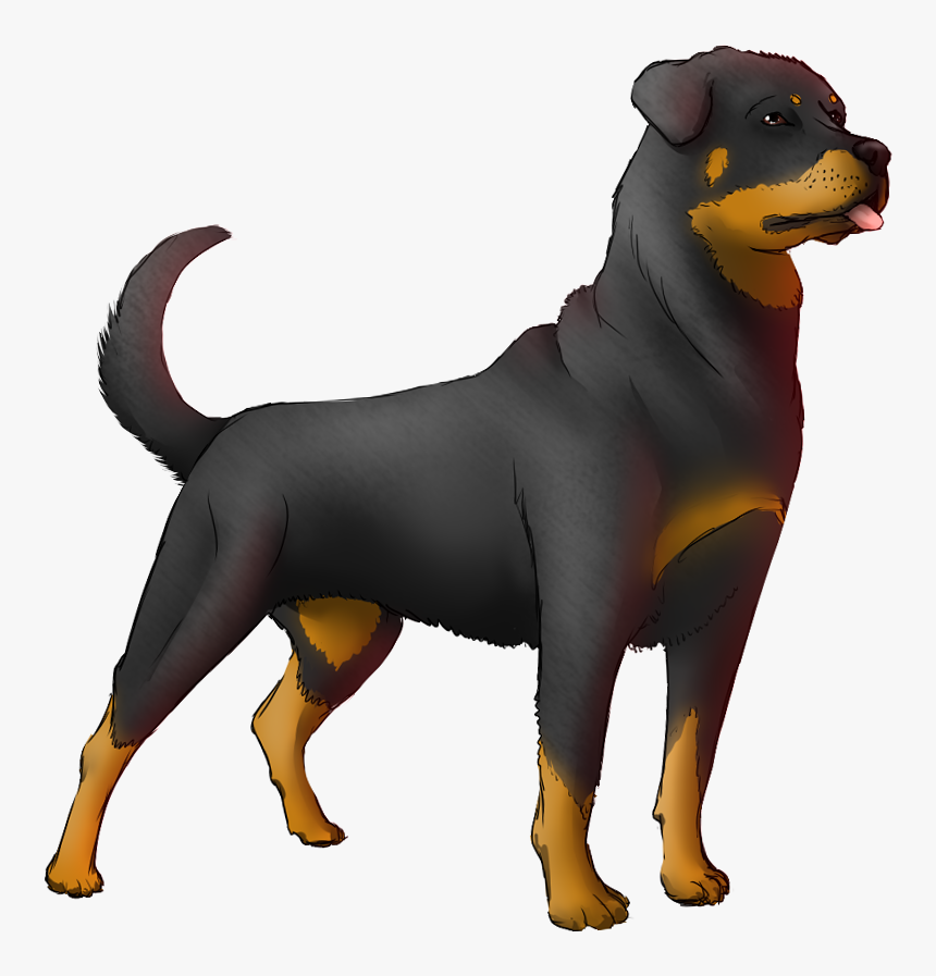 Rottweiler Png - Transparent Background Rottweiler Drawing, Png Download, Free Download