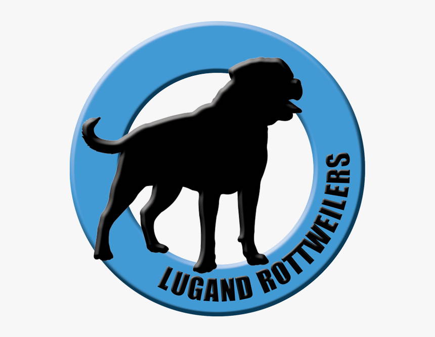 Lugand Rottweilers - Dog Catches Something, HD Png Download, Free Download