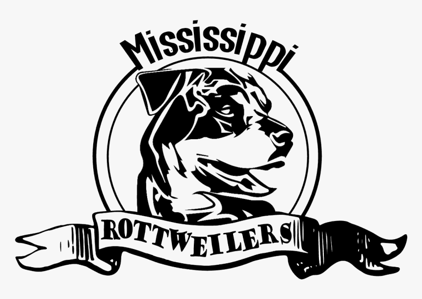 Mississippi Rottweilers Logo - Banner Transparent Background Ribbon, HD Png Download, Free Download