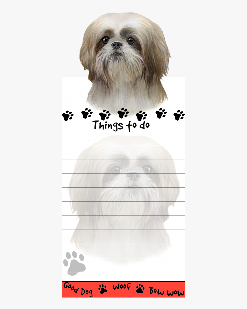 Shih Tzu, Tan And White Puppy Cut - Shih Tzu, HD Png Download, Free Download