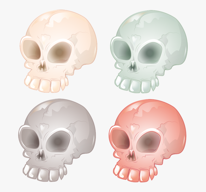 Transparent Skull Vector Png - Skull, Png Download, Free Download