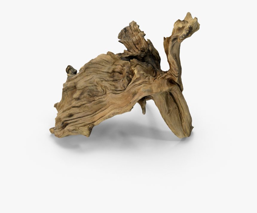 Driftwood, HD Png Download, Free Download