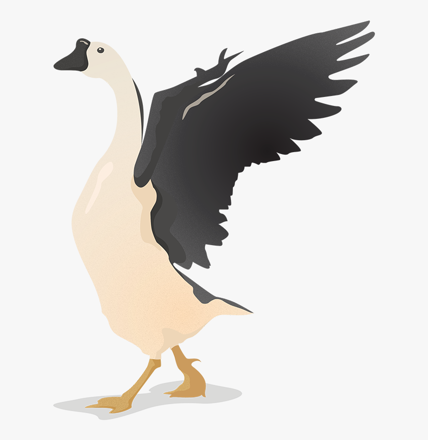 Goose Illustration Png, Transparent Png, Free Download