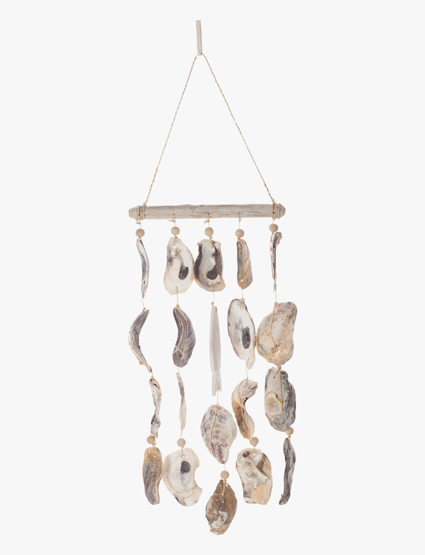 Transparent Driftwood Png - Chandelier, Png Download, Free Download