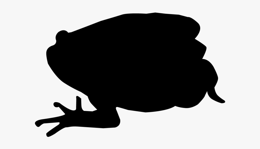 Related Pictures White Frog Silhouette With Black Background - Silhouette, HD Png Download, Free Download