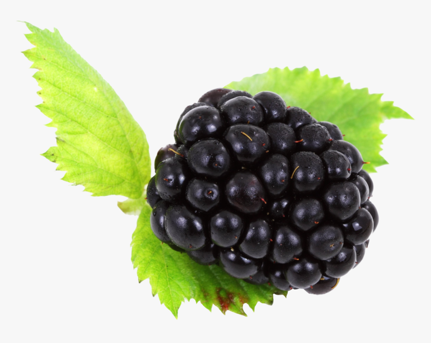 Blackberry With Leaves Png Image - Transparent Background Blackberry Png, Png Download, Free Download