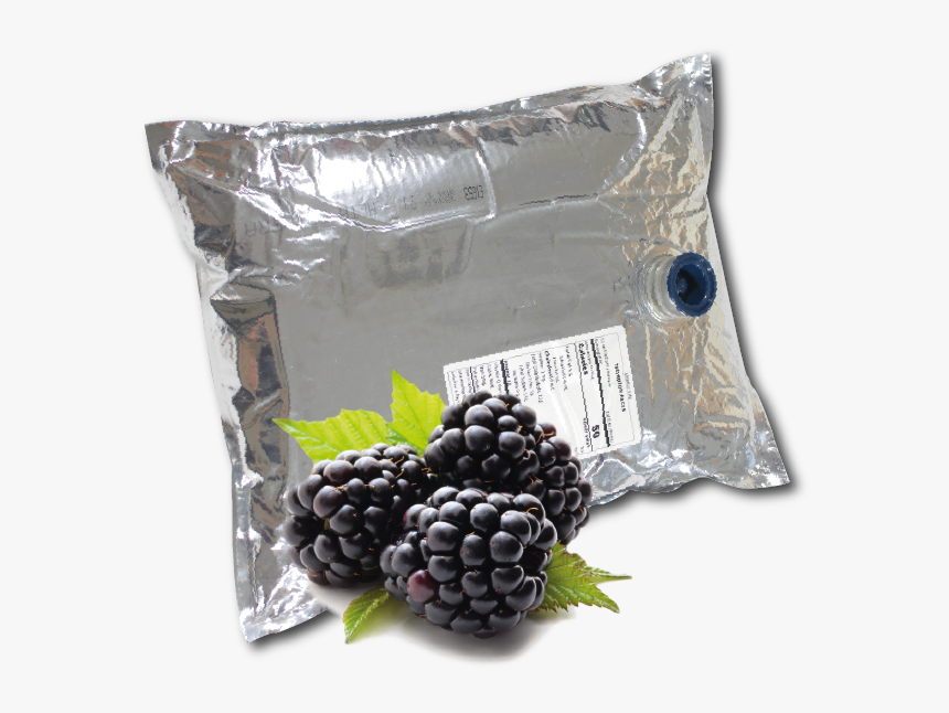 11 Lb Blackberry Aseptic Fruit Puree Box - Health Benefits For Blackberry, HD Png Download, Free Download