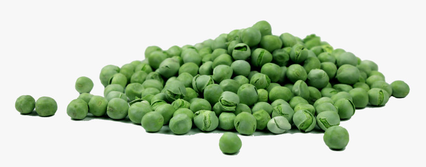 Pea Png Image - Vitamin B5, Transparent Png, Free Download