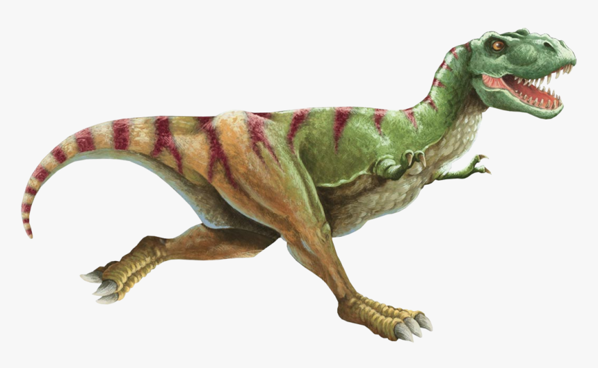 Dinosaur Png, Transparent Png, Free Download