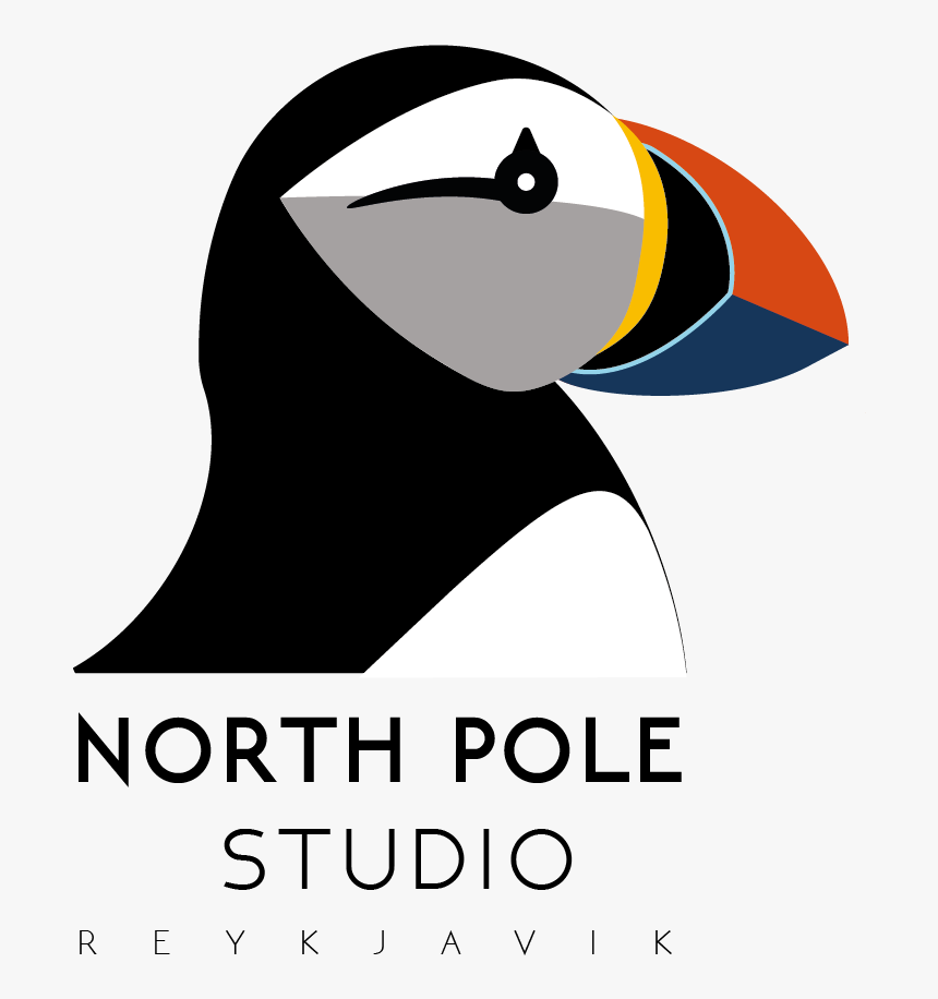 Creative Studio Reykjavik Iceland, Photography Studio - Seabird, HD Png Download, Free Download