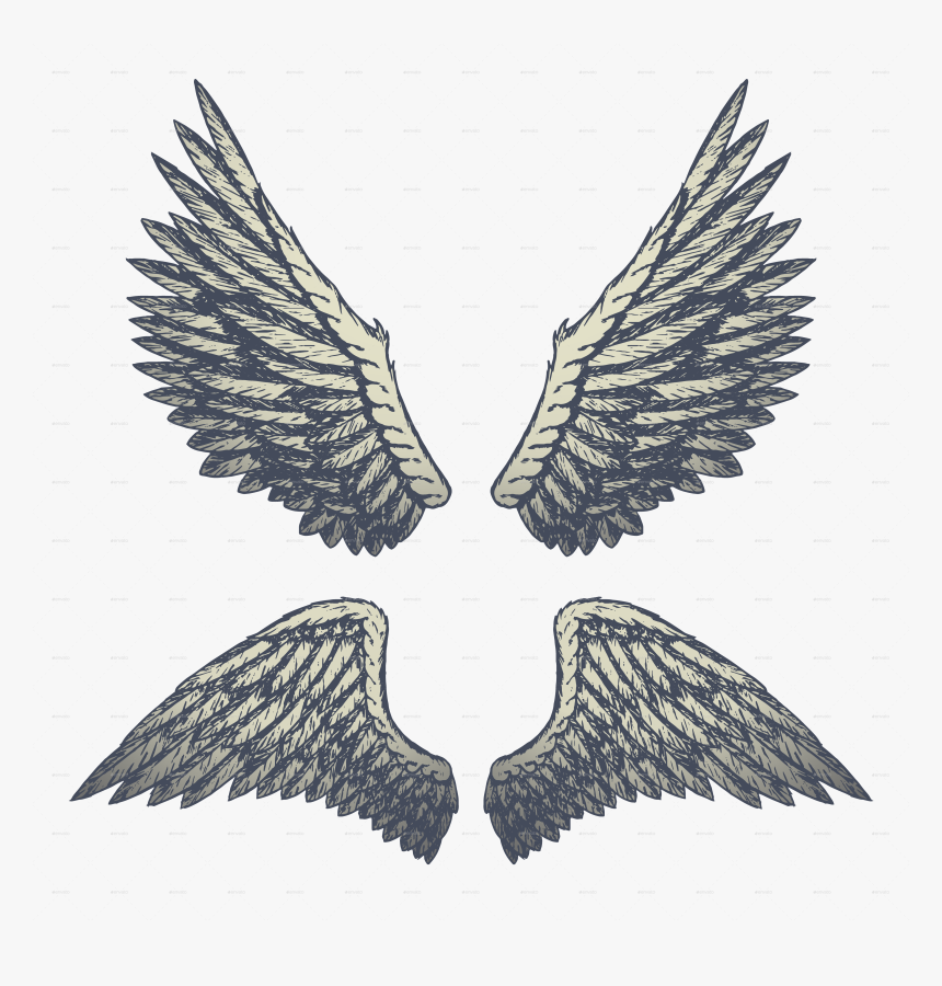 Wings Vector Cartooning , Png Download - Angel Wings Grafiti Png, Transparent Png, Free Download