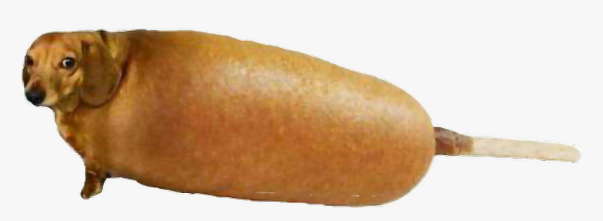 #corndog #freetoedit - Thank You Kanye Very Cool, HD Png Download, Free Download