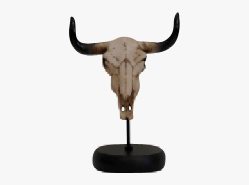 Bull, HD Png Download, Free Download