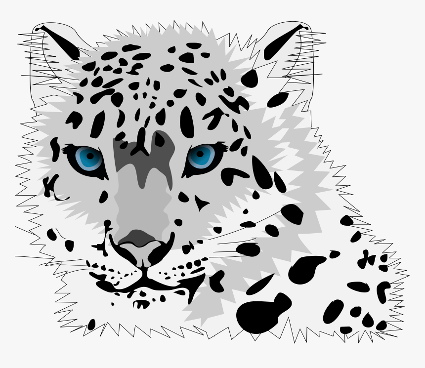 Snow Leopard Clip Art, HD Png Download, Free Download